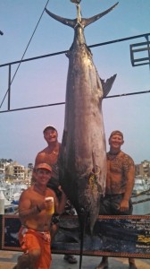 This 544 pound Blue Marlin was caught in Cabo San Lucas on September 28, 2013 by Tony Thune.