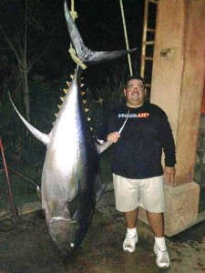 jcs-lalo-tuna-355lb
