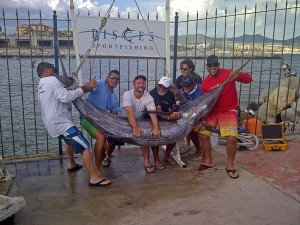 large-marlin-cabo-pisces
