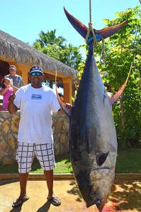  Mem with 386 lb tuna - Gordo Banks Pangas