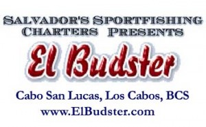 Salvador's Sportfishing - El Budster - Cabo