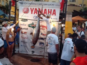 tuna-cabo-tournament-2013