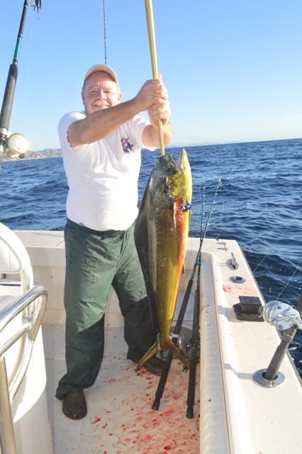 Bill_Dorado