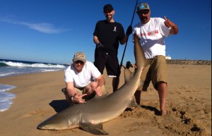 lemon-shark-pisces-surf-fishing