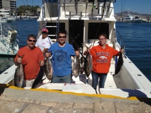 fish redr