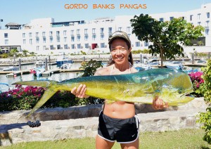 gordo-banks-coble-dorado-818
