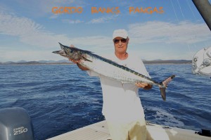 gordo-banks-pangas-wahoo