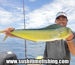 fish report sushi time