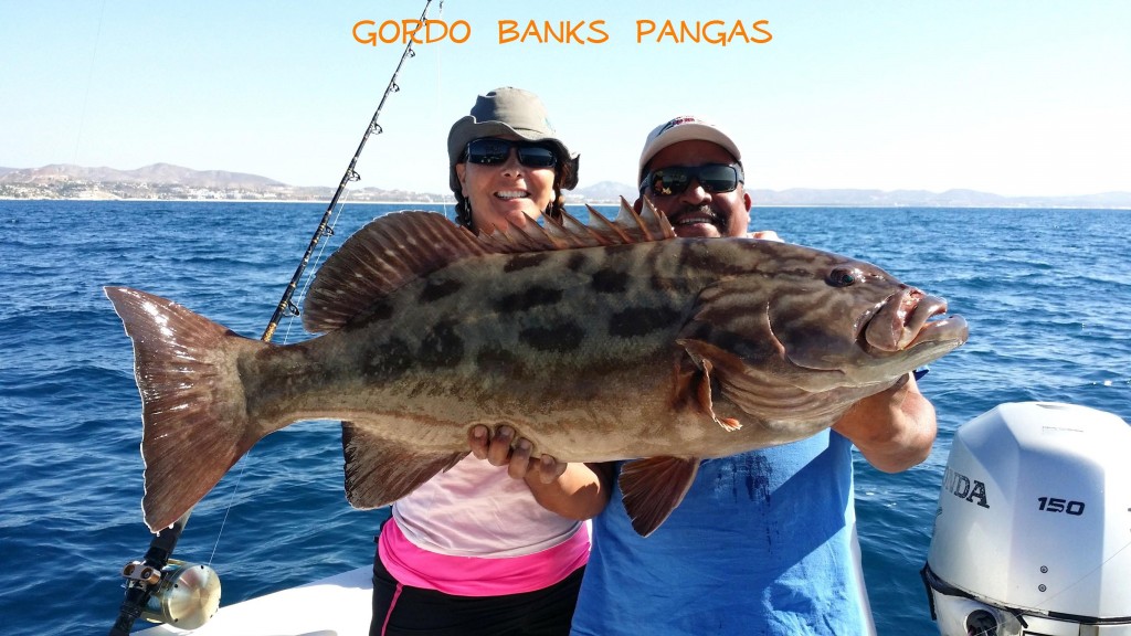 204_Grouper