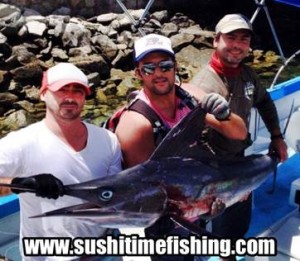 Sushi Time Fish Report
