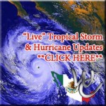 west-coast-mexico-insurance-2