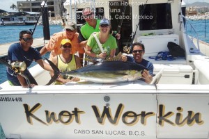 Pisces fish report2