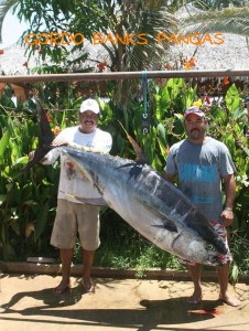 191_280 lbTuna