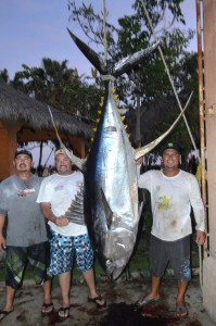TunaTrio298