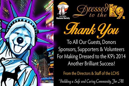 Dress to the K9s Christmas Gala Los Cabos 2014