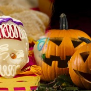 Tricks and Treats: Halloween and Day of the Dead Events in Los Cabos 2015