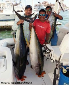 pisces-fish-report-october-1st-to-7th-2016-3