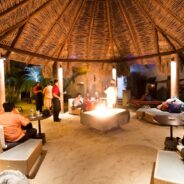 Peacocks Struts Its Stuff at Grand Re-Opening