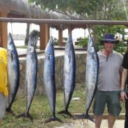 GORDO BANKS PANGAS Fish Report to December 5, 2015