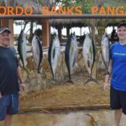 GORDO BANKS PANGAS Fish Report to February 07, 2015