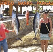 GORDO BANKS PANGAS Fish Report to January 23, 2015