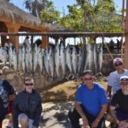 GORDO BANKS PANGAS Fish Report to January 3, 2015