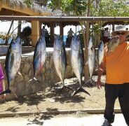 GORDO BANKS PANGAS Fish Report to March 27, 2015