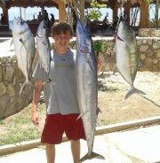 GORDO BANKS PANGAS Fish Report to July 03, 2015