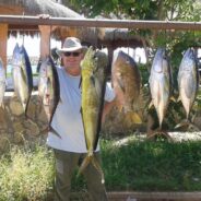 GORDO BANKS PANGAS Fish Report to October 2, 2015