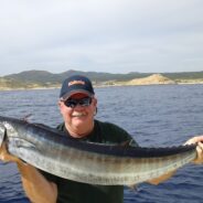 GORDO BANKS PANGAS Fish Report to December 19, 2015