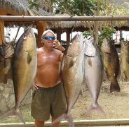 GORDO BANKS PANGAS Fish Report to May 15, 2015