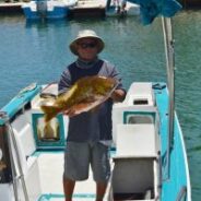 GORDO BANKS PANGAS Fish Report to May 6, 2016