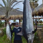 GORDO BANKS PANGAS Fish Report to September 25, 2015
