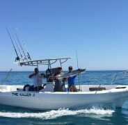 GORDO BANKS PANGAS Fish Report to March 11, 2016