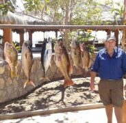GORDO BANKS PANGAS Fish Report to March 4, 2016