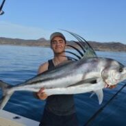 GORDO BANKS PANGAS Fish Report to July 15, 2016