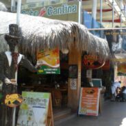 Cabo Cantina, Cabo San Lucas