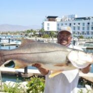 GORDO BANKS PANGAS Fish Report to July 8, 2016
