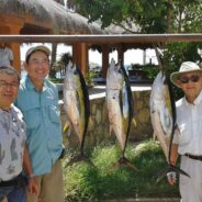 GORDO BANKS PANGAS Fish Report to October 9, 2015