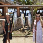 GORDO BANKS PANGAS Fish Report to April 24, 2015