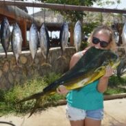 GORDO BANKS PANGAS Fish Report to September 11, 2015