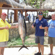 GORDO BANKS PANGAS Fish Report to September 4, 2015