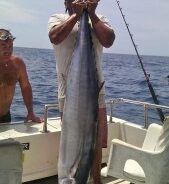 GORDO BANKS PANGAS Fish Report to April 10, 2015