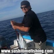 Sushi Time Fish Report to 12 December