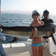 PISCES FISH REPORT OCTOBER 18TH TO 24TH, 2014