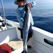 GORDO BANKS PANGAS Fish Report to July 29, 2016