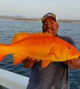 GORDO BANKS PANGAS Fish Report to June 17, 2016