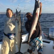 GORDO BANKS PANGAS Fish Report to April 15, 2016