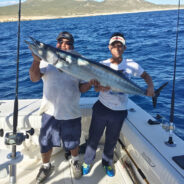 GORDO BANKS PANGAS Fish Report to January 15, 2016