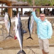 GORDO BANKS PANGAS Fish Report to January 31, 2015